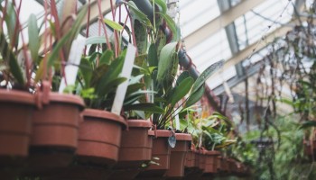 Tuincentrum