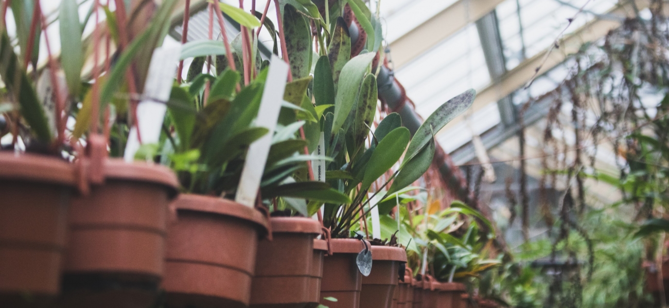 Tuincentrum